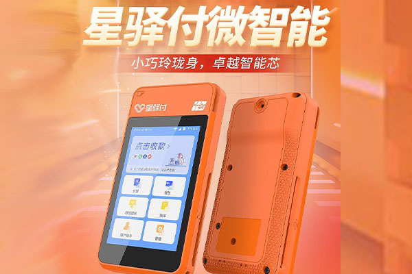 麻栗坡国通微电签POS机